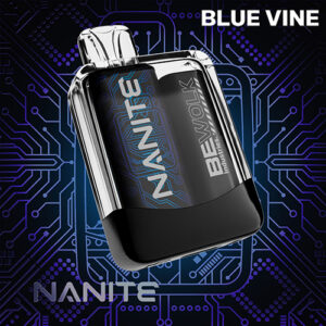 Bewolk Nanite – 2500 puff 5% –  Blue Vine